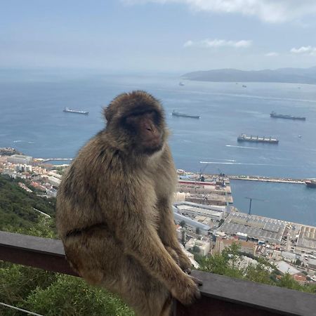 Jardines Apartment Sitio de Calahonda المظهر الخارجي الصورة